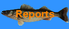 Reports