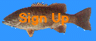 Sign Up